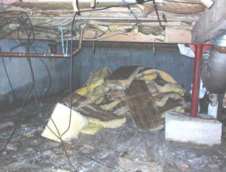 Moisture damaged insulation in a basment